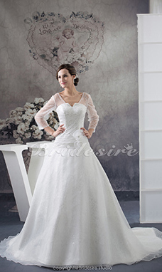 Corte A Escote en V Cola Gorrailla Manga Larga Organza Vestido de Novia